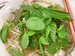 -Pho Hoa Pasteur