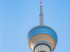 -中央广播电视塔