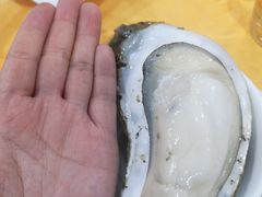 -蚝专家(北滘店)
