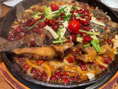 -老板恋上鱼(高新万达店)