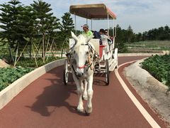 -迪茵湖田家舍生态农场