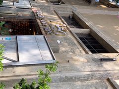 -more than meow吴止猫主题餐厅(承德 中船汇店)