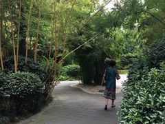 -香园自助小火锅