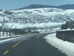 -御道口草原森林风景区-游客咨询处