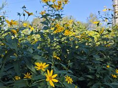 -平山城鑫烧烤(建国楼店)