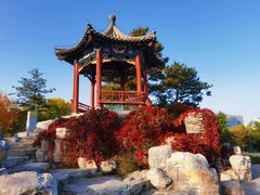 -大兴滨河森林公园