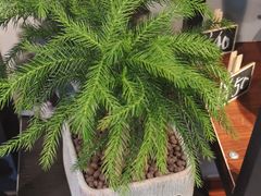 -何兮花店·气球派对鲜花店(马桥银春路万科城店)