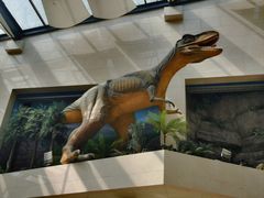 -安徽省地质博物馆