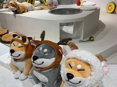 -柴务处·柴犬主题狗咖