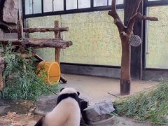 -野生动物园-停车场