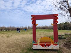 -上海海湾国家森林公园