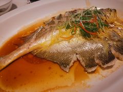-金汤宴餐厅·粤菜(德云社店)
