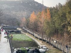 -白水寺森林公园