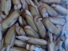 -海立阁海鲜江浙菜(漕河泾印象城店)