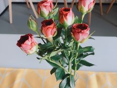 -元时健身工作室(菜园广场写字楼店)