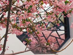 -莫愁湖公园