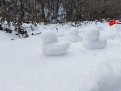 -秦岭风景区