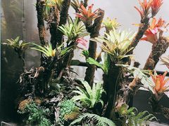 -扶摇湘宴·烤鸭·湘粤宴(中关村·北大店)