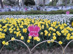 -玄武湖景区-情侣园游乐场