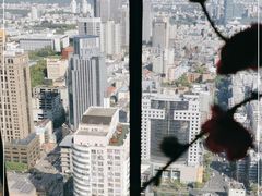 -南京商茂国际酒店(新街口德基广场店)