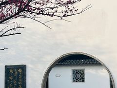 -八大山人梅湖景区