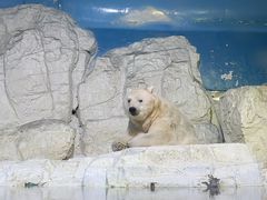 -大连老虎滩海洋公园