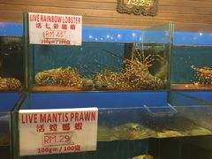 -真浪花园海鲜餐馆