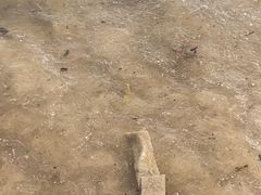 -碧桂园十里银滩