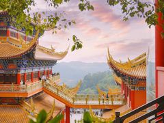 -东莞市大岭山森林公园
