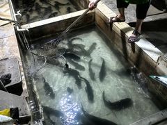 -红旗山庄(圭峰山店)