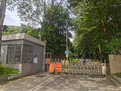 -风云岭森林公园