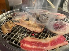 -火烈鸟