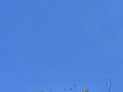-陈家祠堂-游客中心