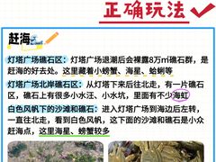 -日照灯塔风景区