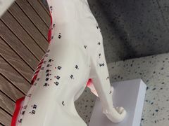 -半岛宠物医院24小时(白果林店)