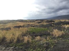 -夏威夷火山国家公园