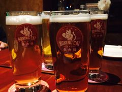 -Boxing Cat Brewery拳击猫精酿啤酒馆(永福店)