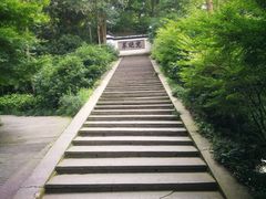 -虎跑公园