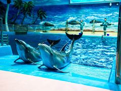 -福州罗源湾海洋世界旅游区