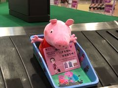 -厦门高崎国际机场-T3航站楼