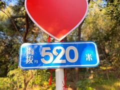 -香山公园