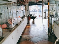 -糯米喵星人总部直营旗舰店·猫舍·幼猫出售