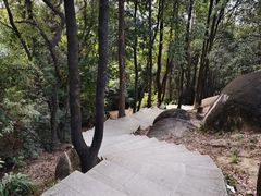 -火炉山森林公园