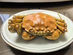 阳澄湖一号-小陆莲花蟹园农家乐(莲花岛店)