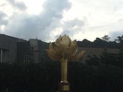 -金莲花广场