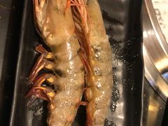 -熊出没日本烧肉放题
