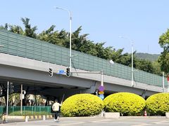 -火炉山森林公园