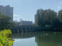 -四海公园(南山区)