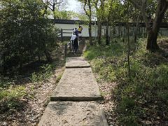 -上海佘山国家森林公园天马山园