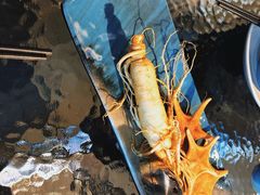 鲜人参火锅-千岛蚝高压锅生蚝·人参火锅(白云万达店)